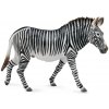 Figurka Collecta Zebra Grevyho