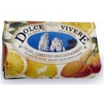 Nesti Dante Dolce Vivere mýdlo Capri 250 g – Zbozi.Blesk.cz
