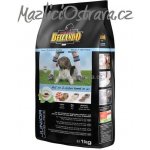 Belcando Junior Lamb & Rice 12,5 kg – Hledejceny.cz