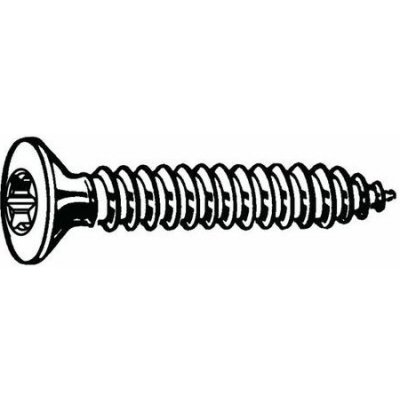 Samořezný šroub se zápustnou hlavou s T-hvězdicí ISO 14586 C Nerezocel A4 ST4,2X25MM – Hledejceny.cz
