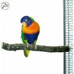 Back Zoo Nature Korkáč – Zboží Mobilmania