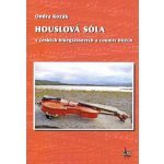 Houslová sóla v českých bluegrassových a country hitech + DVD – Hledejceny.cz