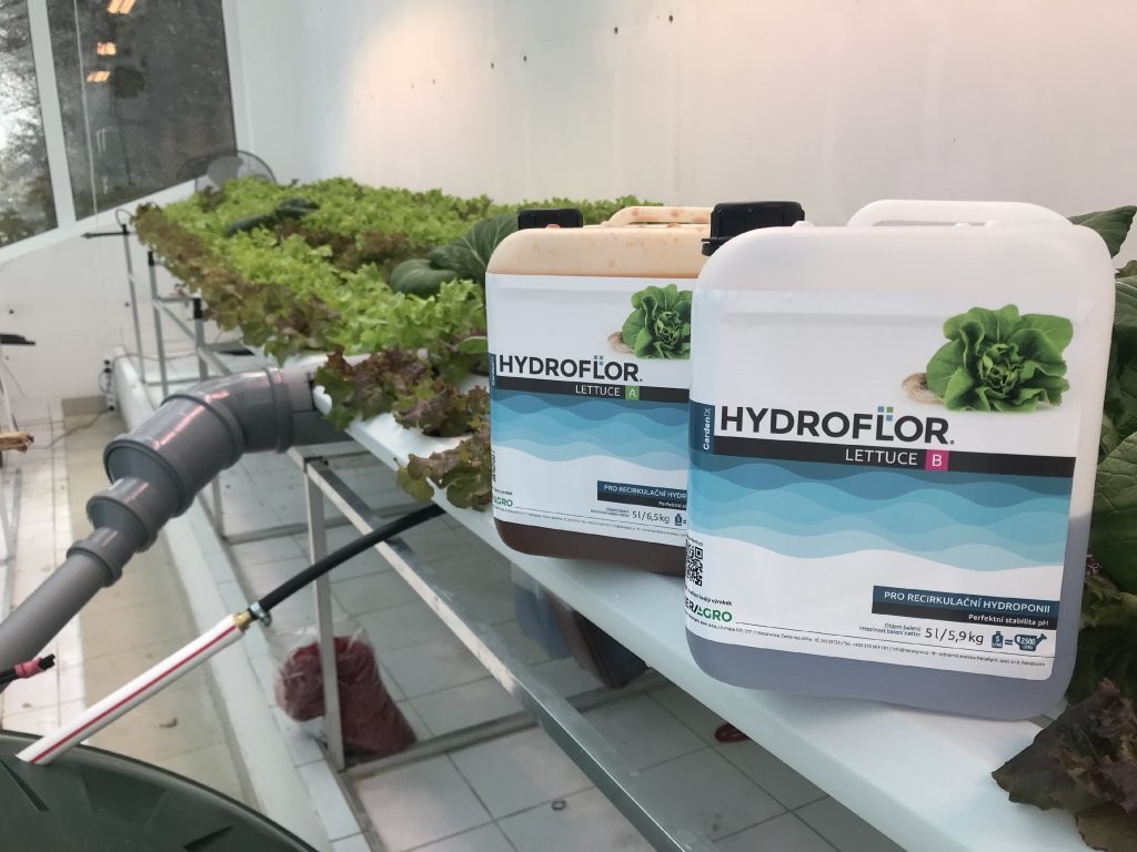 GardeniX Hydroflor Lettuce A+B 2 x 5 l