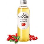 Soaphoria organický kosmetický olej mrkvový 150 ml – Hledejceny.cz