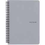Karton P+P twin wire blok A5 PP PASTELINI šedá 8-805 – Zboží Živě