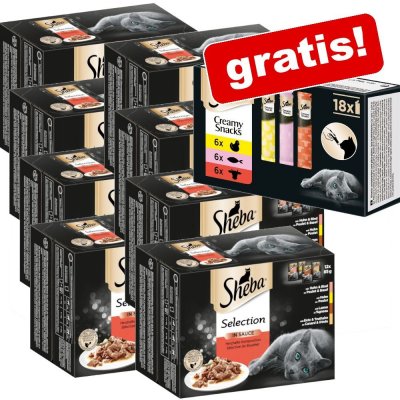 Sheba variace Delikatesse jelly drůbeží variace 96 x 85 g – Zboží Mobilmania