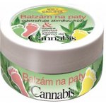 Bione Cosmetics Cannabis balzám na ztvrdlou pokožku na paty 150 ml – Zboží Dáma