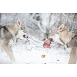 Marp Treats Buffalo Crunchies 50 g – Hledejceny.cz