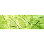 Dimex KI180-048 Samolepící fototapeta do kuchyně Leaf Veins rozměry 180 x 60 cm – Zbozi.Blesk.cz