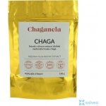 Chaganela Čaga extrakt 100 g – Hledejceny.cz