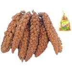 Avicentra Proso senegalské klasy červené 100 g – Zboží Dáma