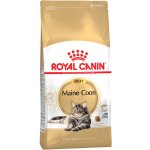 Royal Canin Maine Coon Adult granule pro kočky 10 kg – Hledejceny.cz
