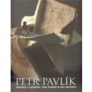 Poutnice v Labyrintu / Girl Pilgrim in the Labyrint - Petr Pavlík
