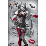 Plakát - Batman Arkham Knight (HARLEY QUINN) – Zboží Dáma