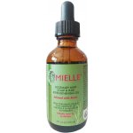 Mielle Rosemary Mint Scalp & Hair Strengthening Oil 59 ml – Zboží Mobilmania