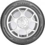 Dunlop Sport Bluresponse 205/60 R16 96V | Zboží Auto