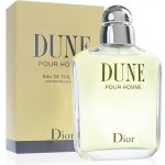 Christian Dior Dune toaletní voda pánská 100 ml – Zboží Mobilmania