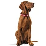 Hunter Swiss kožený obojek – Hledejceny.cz