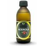 Zdravý Svet Liposomální Acerola 200 ml – Hledejceny.cz