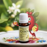 Grešík přírodní silice Citrón 10 ml – Hledejceny.cz