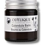 Odylique Měsíčkový balzám první pomoc pro suchou a popraskanou pokožku 20 g – Zboží Dáma