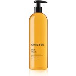 Chistee Dish Wash Mint 510 ml – HobbyKompas.cz