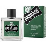 Proraso Eukalyptus balzám na vousy 100 ml – Zboží Dáma Proraso Eukalyptus balzám na vousy 100 ml – Zboží Dáma