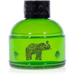 Spa Ceylon difuzér FOREST TRAIL 50 ml – Zboží Dáma