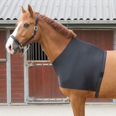 Elastický návlek pod deku na koně černý – Zboží Dáma