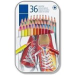 Staedtler 36 barev 4007817048306 – Zboží Živě