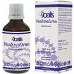 Joalis PankreaDren slinivka břišní 50 ml – Hledejceny.cz
