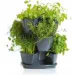 Prosperplast Petrželák COUBI HERBAL grafit 29,5 cm – Sleviste.cz