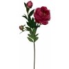 Květina Pivoňka - Paeonia (x3) červená v67 cm (FB204245450)