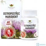 Ekomedica Ostropestřec 60 kapslí – Hledejceny.cz
