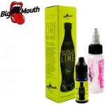 Big Mouth FIZZY Meloun, mandarinka, limetka 10 ml – Hledejceny.cz