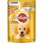 Pedigree Junior kuřecí s rýží v želé 24 x 100 g – Hledejceny.cz