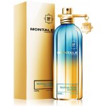 Montale Tropical Wood parfémovaná voda unisex 100 ml – Hledejceny.cz