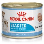Royal Canin Starter Mousse 12 x 195 g – Hledejceny.cz