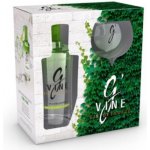 G’Vine Gin de France Floraison 40% 0,7 l (dárkové balení 1 sklenice) – Hledejceny.cz