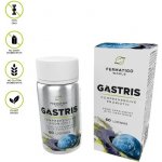 Fermatigo World GASTRIS 60 pastilek – Hledejceny.cz