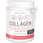 WoldoHealth Kolagen kyselina hyaluronová biotin 500 g – Zboží Dáma