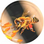 Skloobaly Víčko TO 82 letící včela Od 1 ks: 1 ks – Hledejceny.cz