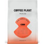 COFFEE PLANT káva Arabica Flow Juicy Fruit zrnková 250 g – Hledejceny.cz