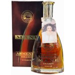 Proshyan Mane 10y 40% 0,5 l (karton) – Zboží Dáma