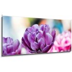 Obraz 1D panorama - 120 x 50 cm - Lila tulpe Fialový tulipán – Zboží Mobilmania