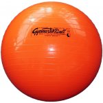 Ledragomma Gymnastik Ball 53 cm – Hledejceny.cz