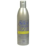 BES Silkat Protein Restitutive Conditioner regenerační kondicionér na vlasy 1000 ml – Zboží Dáma