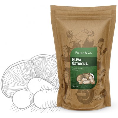 Protein & Co. Hlíva ústřičná 90 kapslí – Hledejceny.cz