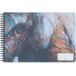 Karton P+P Skicák A4 tw 50 listů 220g slon – Hledejceny.cz