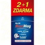 MaxiMag Hořčík 375mg+B6 100+50 tablet – Zboží Mobilmania